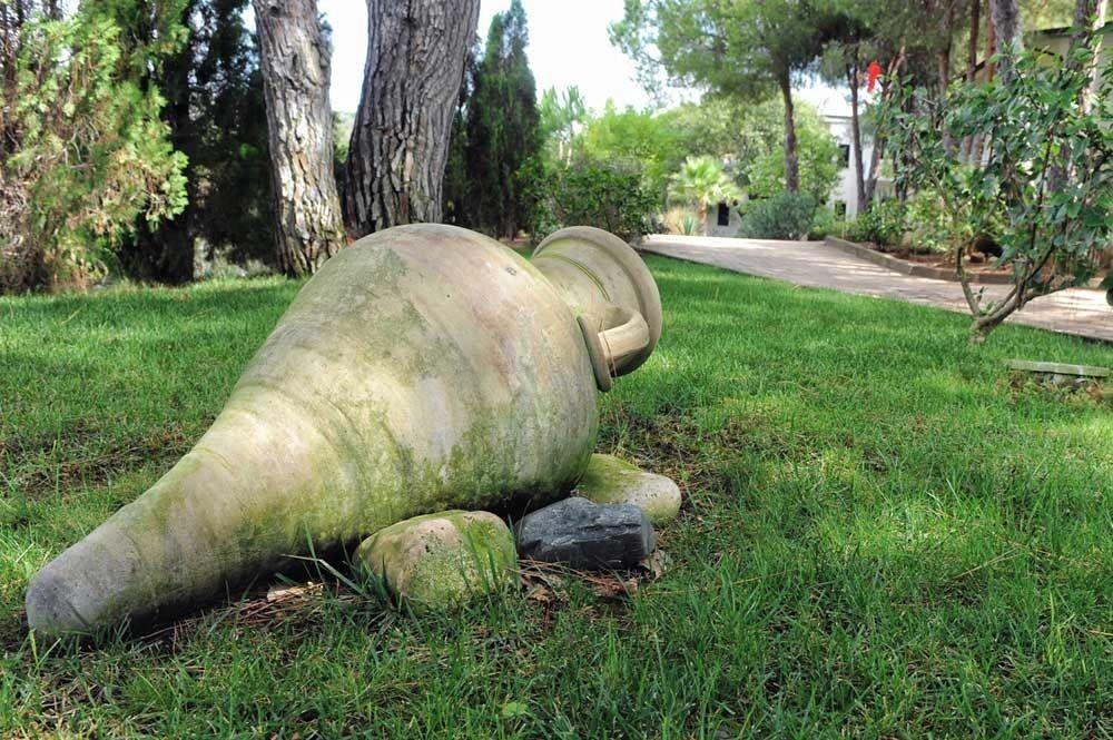 Villaggio Pineta Petto Bianco Капо Ватикано Екстериор снимка
