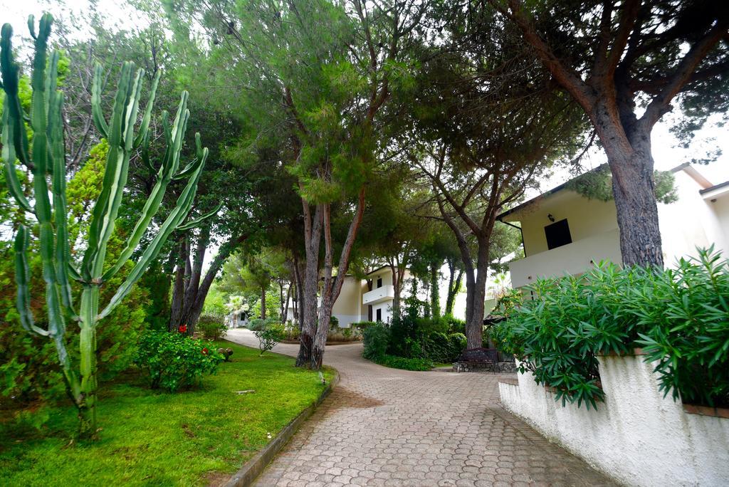 Villaggio Pineta Petto Bianco Капо Ватикано Екстериор снимка